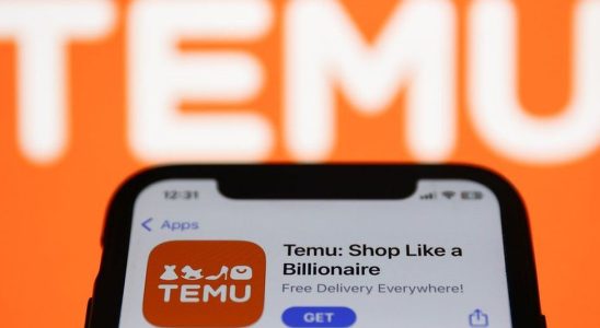 Dúvidas surgem sobre a oferta de 'distribuição' de dinheiro de Temu