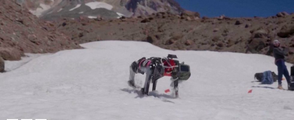 Cão robô treina para caminhar na Lua em testes no Oregon