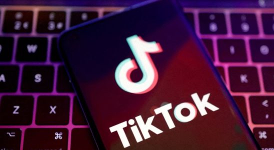 TikTok adverte que proibição nos EUA "atropelaria a liberdade de expressão"